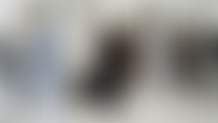 #goldesigners Pedro del Hierro†