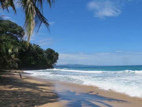 #supervipvientes ¡Primera gala!