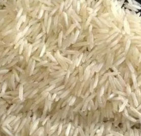 1509 Basmati
