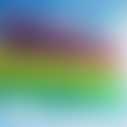 Attorney Avon Successfully Resolved Mauritius Company's Contract Dispute with Shandong Supplier