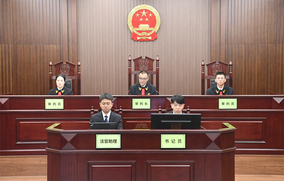 Litigation in China