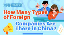 How Many Types of Foreign Companies Are There in China