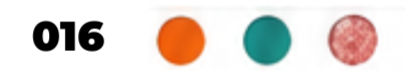 016 with three colored circles—orange, teal, and pink patterned—on a white background