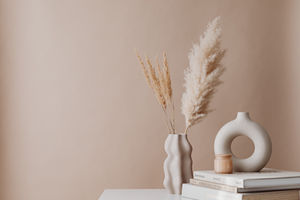 4 Beige Aesthetic Memes