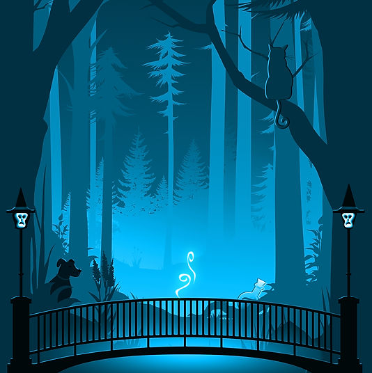 DWOB square no text cover.jpeg