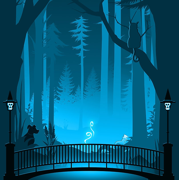 DWOB square no text cover.jpeg
