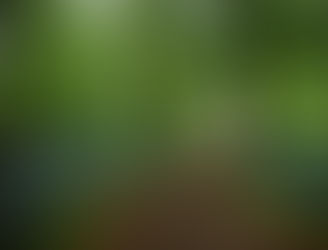 Top 6 things to do in London in Spring