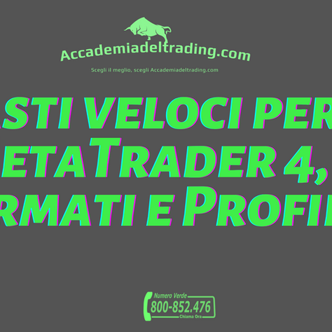 Tasti veloci per MetaTrader 4, Formati e Profili.