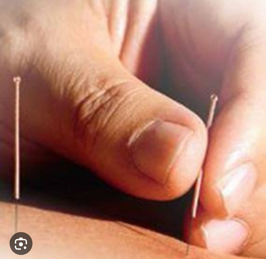 WhatsApp Image 2023-09-20 at 13.39.12.jpg