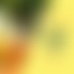 Suco para refrescar seu verão!