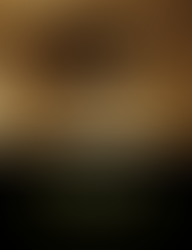 Accountability for atrocity crimes in the post-Nuremberg era