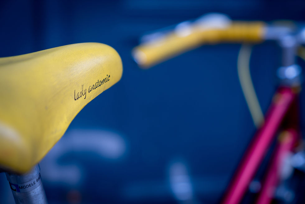 Miniaturbild: Santini Damen Rennrad RH52cm