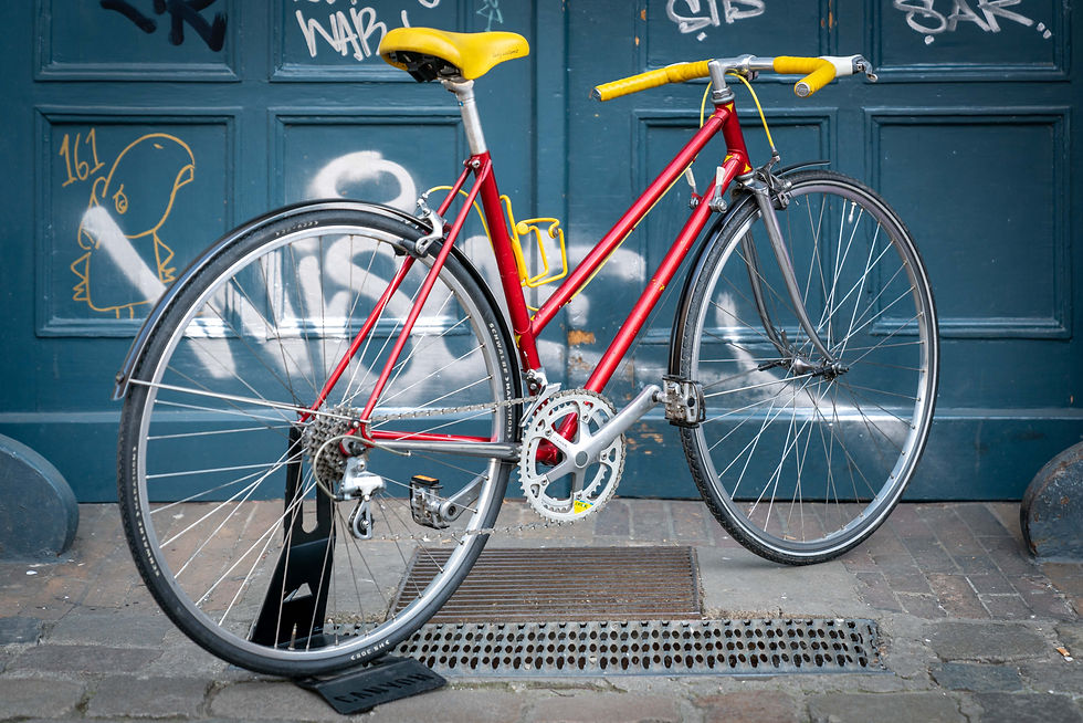 Miniaturbild: Santini Damen Rennrad RH52cm