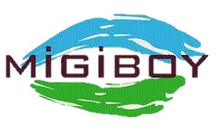 migiboy logo.png