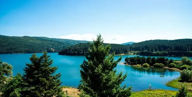 Esplorare i boschi e i laghi della Sila