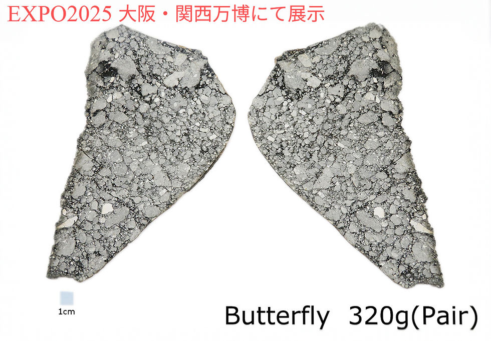 1.Gadamis005 (Butterfly) (320g)