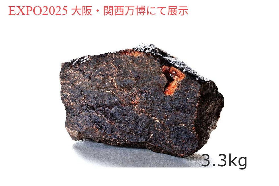 2.NWA869 (3.3kg)