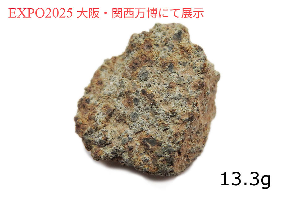 1.NWA2305 (13.3g)