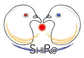 SHIRA_logo_文字.jpg