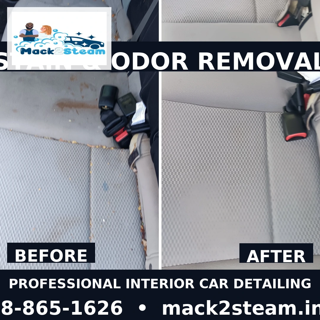 Pet hair and dander removal from seats and cargo area during interior car detailing in La Crosse, WI
