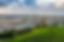 New Zeland Australia BMSB Heat Treatment.jpg