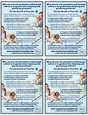 Vet HANDOUT- Postcard Sizes.jpg