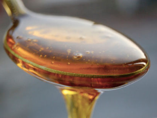 Agave - is it really better than sugar?