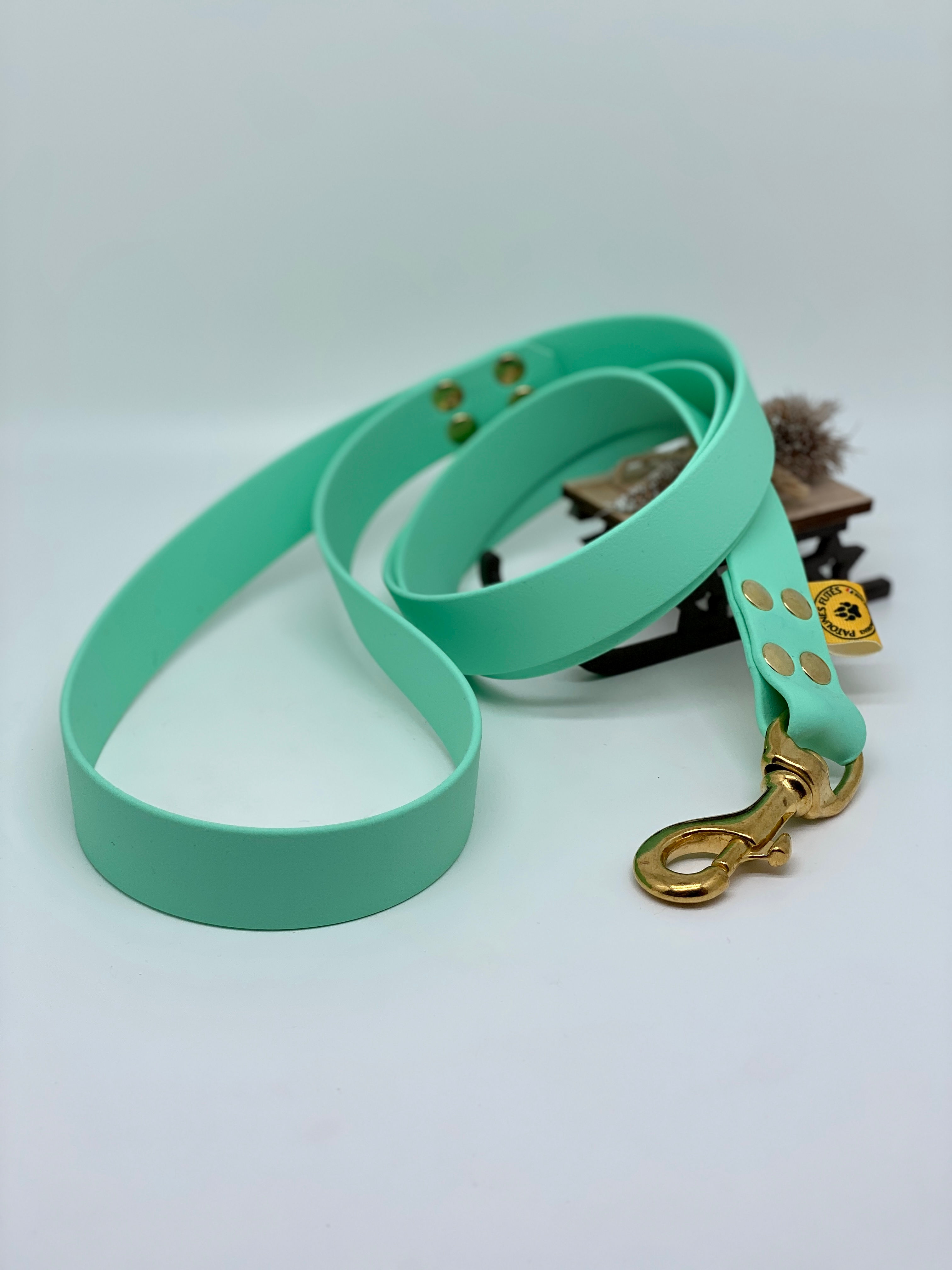 Laisse 1m20 BioThane® Menthe / Laiton