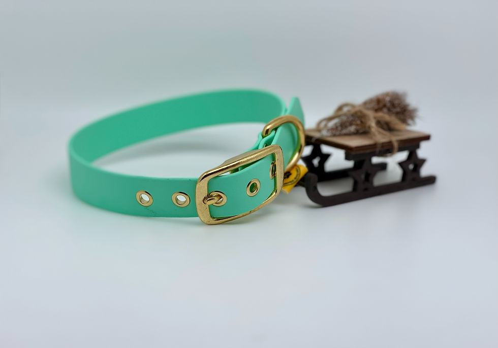 Collier BioThane® Menthe / Laiton