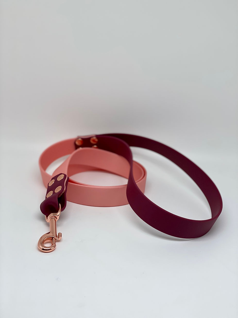 Laisse 1m20 BioThane® Bordeaux - rose gold