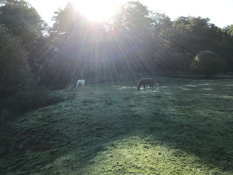 September Solace
