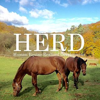 Writer: herdteam