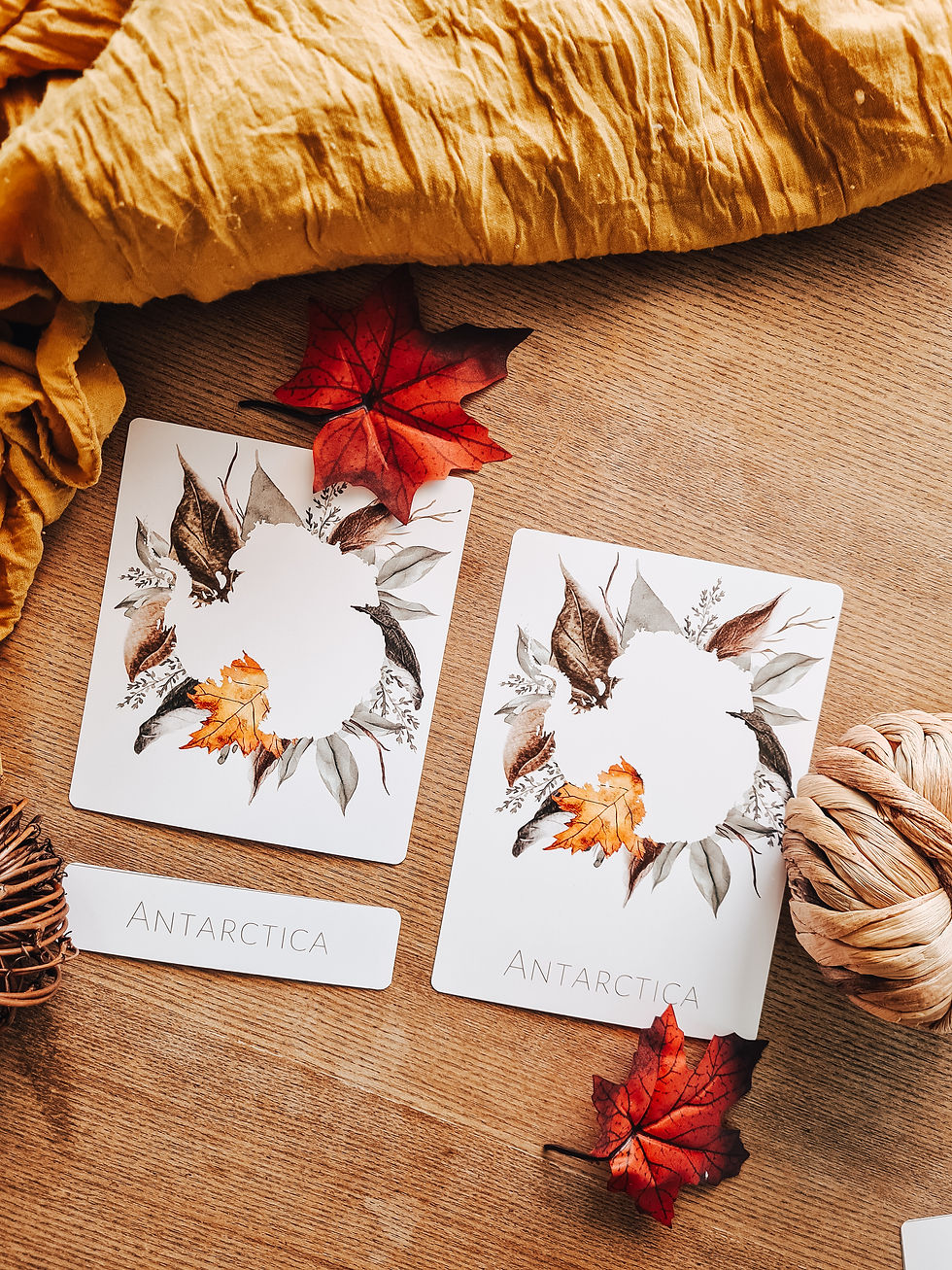 Thumbnail: Three Part Continent Cards