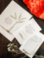 Thumbnail: Dominican Republic Country Unit