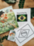 Thumbnail: Brazil Country Unit