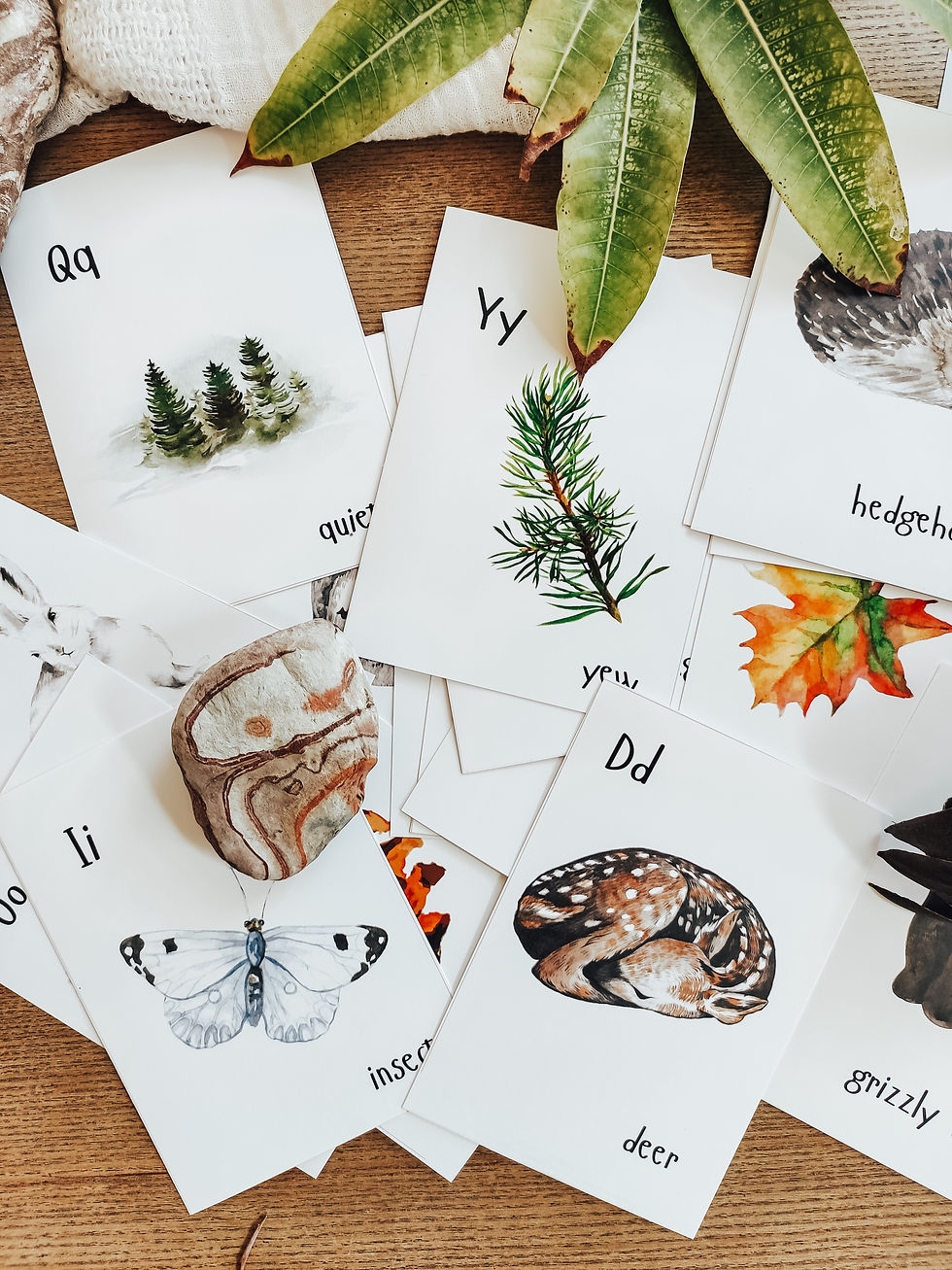 Thumbnail: Into the Woods Early Learners