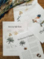 Thumbnail: Thailand Study Unit