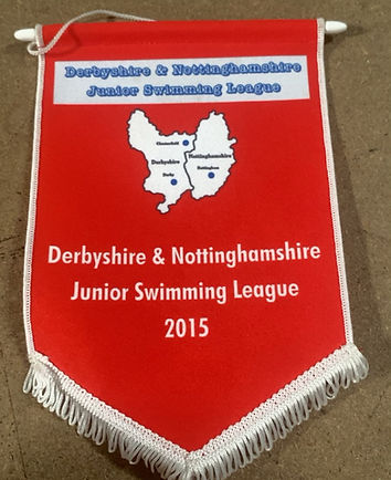 Derbyshire & Nottinghamshire Junior Swimming league 2015.jpeg