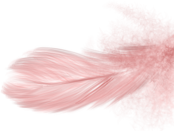 Feather.png