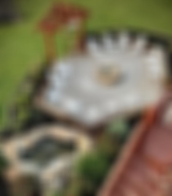 278976528_715757703098409_6329039106267013553_n_edited_edited.jpg