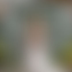 How to Plan a Stress-Free Wedding Day at The Bluegrass Family Farm with Our Full-Service Packages