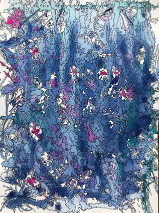 Raindrops & Roses
