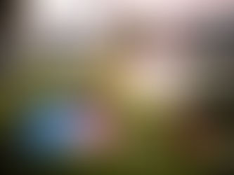 237 Engagés à la Finale des Rallyes Lisieux-Normandie 2025 !