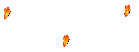 borboleta-imagem-animada-0082.gif