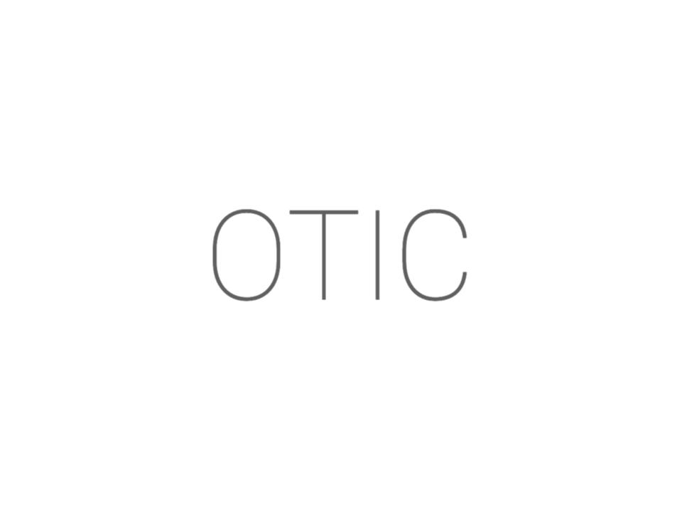 OTIC - High End Audio Specialists