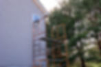 AdobeStock_1600703778.jpeg