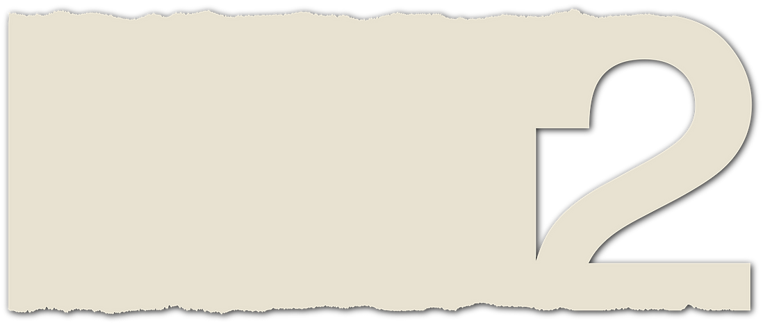 Asset 43_2x-8.png