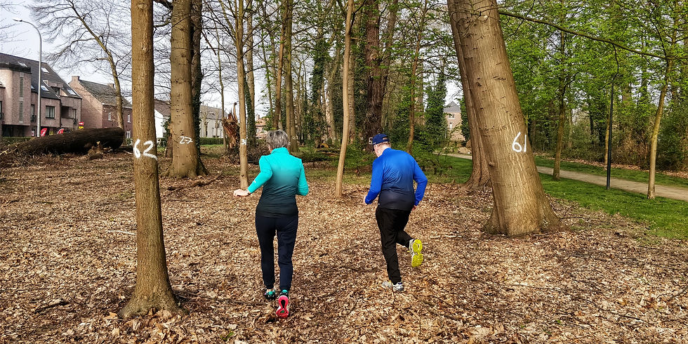 Parcours in het park