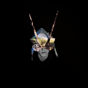 'Buggin'