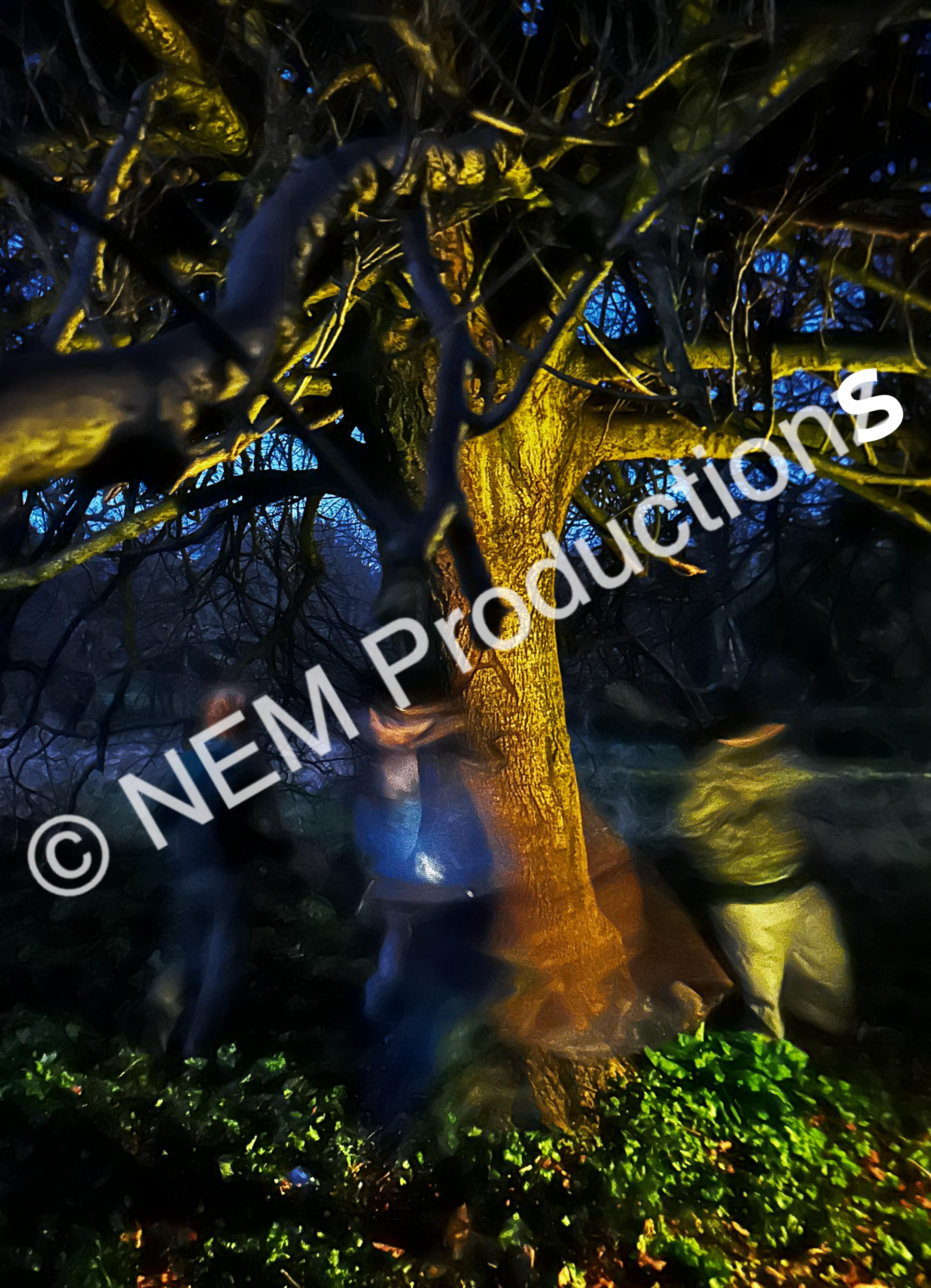'Fairy dance' Print